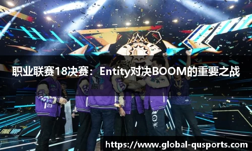 职业联赛18决赛：Entity对决BOOM的重要之战